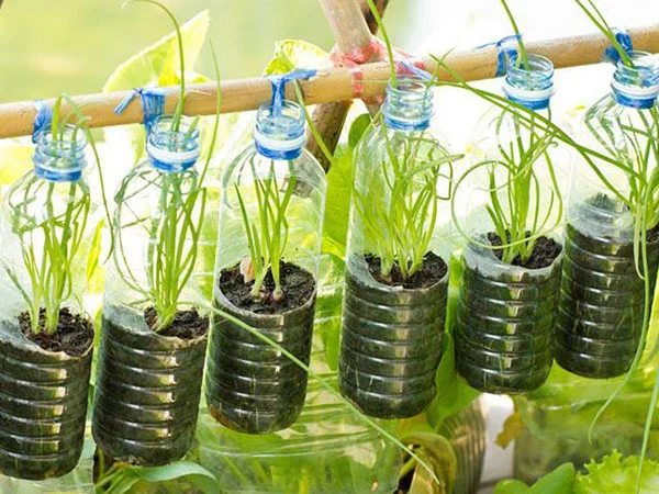 Tái chế và tái sử dụng
